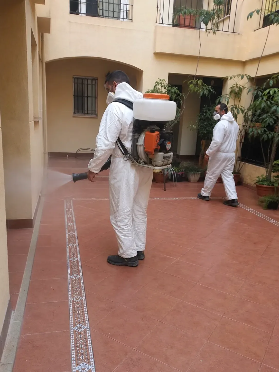 Técnicos de LlagostaPlagas aplicando un tratamiento de fumigación