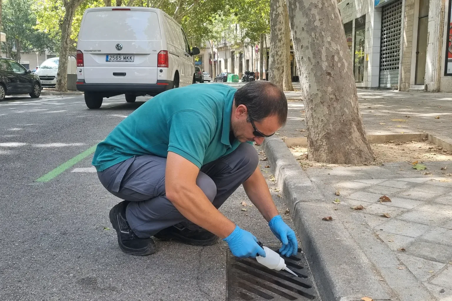 Control del mosquito tigre en La Llagosta — LlagostaPlagas