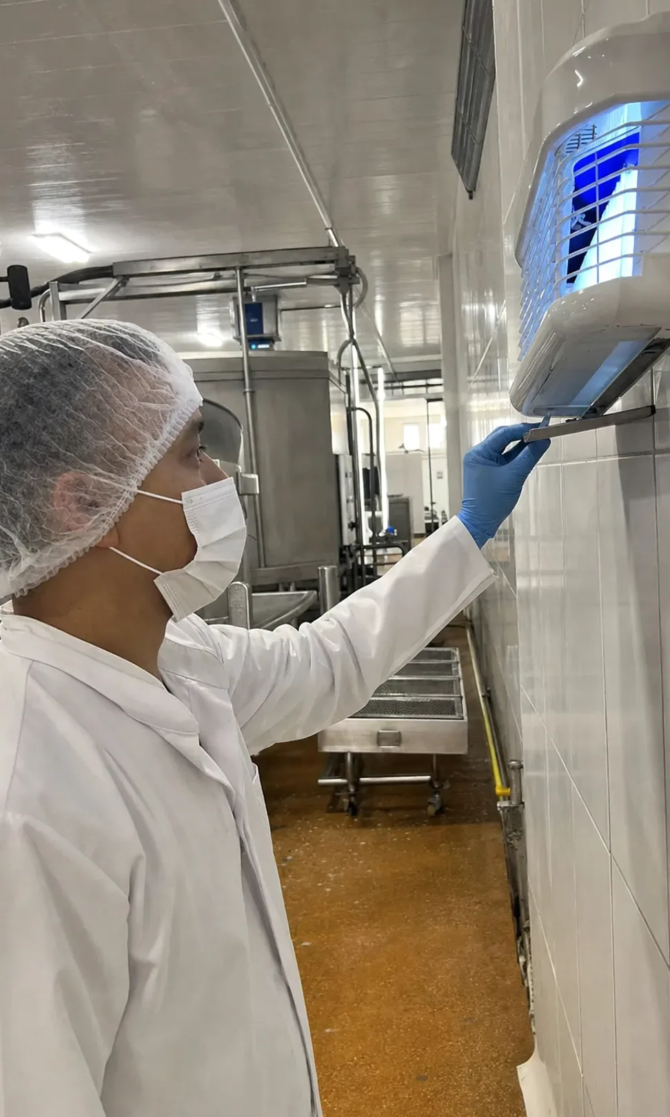 Control de plagas para industria alimentaria (appcc) en La Llagosta — LlagostaPlagas